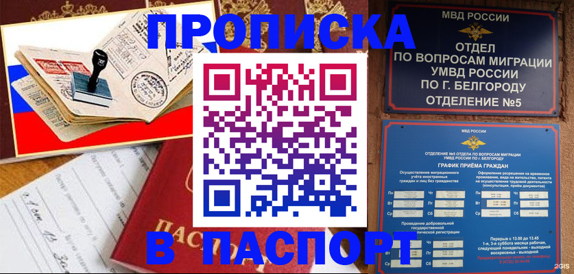 купить прописку в Михайловске